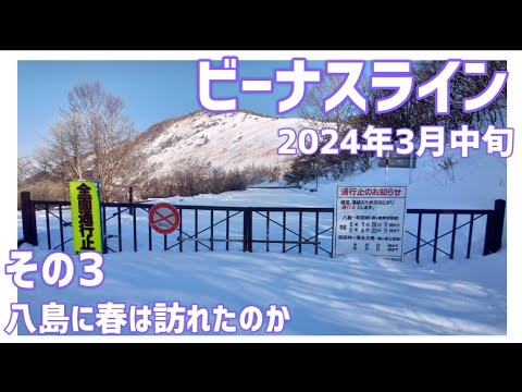 【ドライブ動画】ビーナスライン 2024年3月中旬　その3 八島に春は訪れたのか