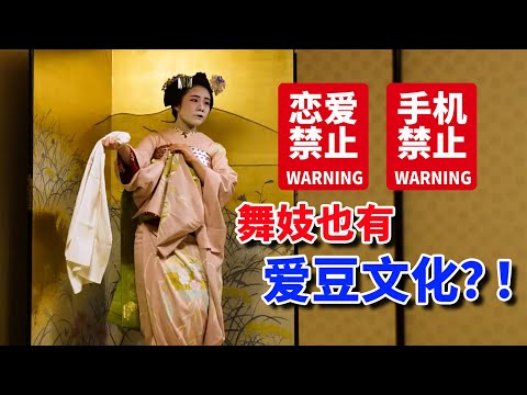 揭秘日本艺妓：没有工资、没有手机、禁止恋爱！【我住在这里的理由393】