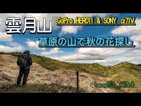 GoProHERO11初投入！【雲月山】草原の山で秋の花探し