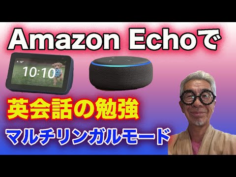 Amazon Echoで英会話の勉強、２ヶ国語に対応、マルチリンガルモード#Shorts