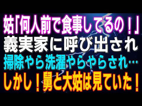 【スカッとする話】姑「何人前で食事してるの！」義実家に呼び出され掃除やら洗濯やらやらされ…しかし！舅と大姑は見ていた！結果ｗ