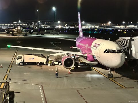 Peach MM860便から見下ろす日本列島＆羽田空港ランディング