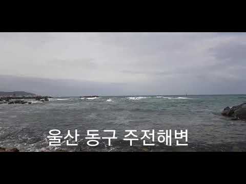 Jujeon Beach Wave (Ulsan)