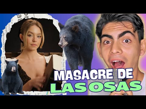 Sidney Sweeney | La M4s4cre de las Osas | Explicación 📖