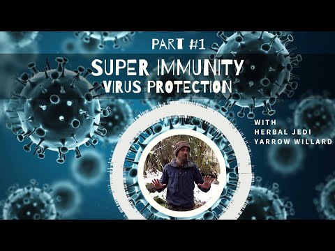 Super Immunity - Virus Protection PART 1