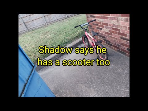 (1569) Shadow's Scooter🛴