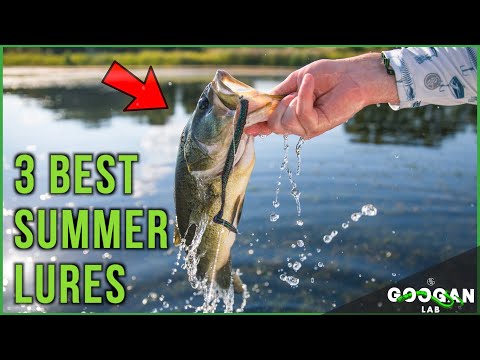 The BEST 3 SUMMER Fishing LURES! ( BASS FISHING TIPS )