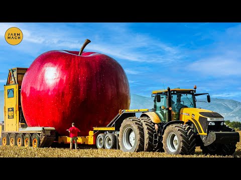 35 unbelievable modern agriculture machines that are at another level