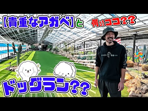 【貴重なアガベ】と楽しめるｯ!噂の巨大ドライガーデン施設の【ドッグラン!?】行ってみたら・・【ANOTHER PLANTS】【🌵コバアミーゴのドライガーデンの世界🌵】