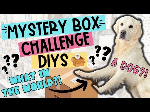 😳SHOCKED!  Making Dollar Tree DIYS with the CRAZIEST CHALLENGE ITEM ever!  MYSTERY BOX CHALLENGE