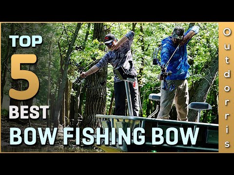 Top 5 Best Bow Fishing Bows Review in 2023