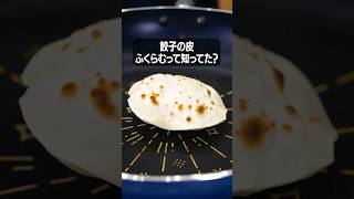 好きな具材を詰めて♪「餃子の皮でピタパン風」丁寧に工程を見たい人はコメント欄から♪ #餃子の皮 #餃子 #ピタパン #サンドイッチ #朝ごはん #朝食 #レシピ動画 #料理動画 #shorts