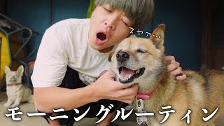 犬と家族で過ごす田舎暮らし男子の平日朝【モーニングルーティン】