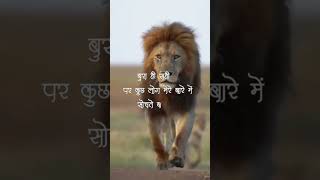 Lion Attitude shayari status Shayari status Attitude shayari #youtubeshorts#viral#shayari#shorts