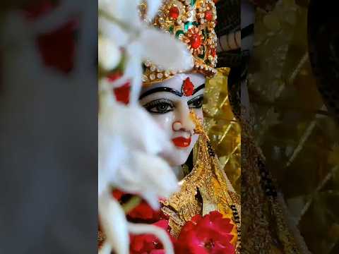 Jai mata di #matarani #devotional #devi #4k #bhajan #navratri #shortsfeed #trending #jaimatadi