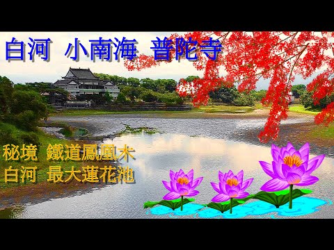 台南白河 小南海 普陀寺 與 白河 蓮花 鳳凰木 空拍 景點與路線推薦/台灣愛旅遊 17