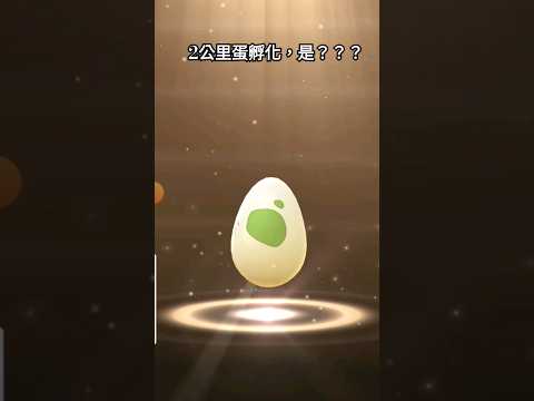 2公里蛋孵化，是？？？｜#pokémon #pokemongo #精靈寶可夢