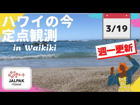 【ハワイの今】ワイキキ定点観測  2024年3月19日