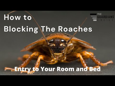 Ensuring a Roach-Free Zone: How to Block Their Entry Efficiently!