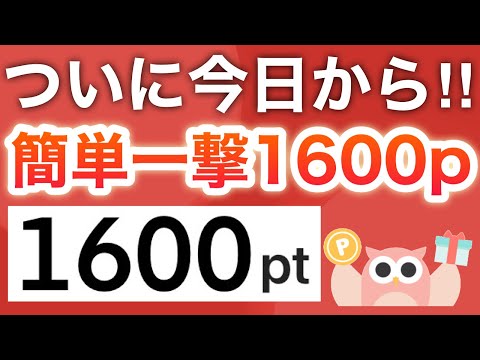 【待望】まさかのコレ一撃で1600p貰える‼︎Powlが超本気！！