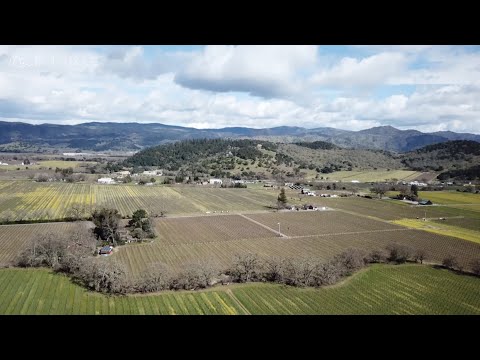 Jane Zhang 张靓颖《Feel the USA》(爱乐之程) documentary - tidbit from ep. 5: aerial shots of Napa Walley (CA)