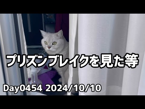 Day0454_プリズンブレイクを見始めた。評判通り確かに面白い。ダイエットを始める。公園の鳩を眺める等【2024年10月10日】