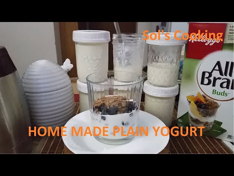 HOW TO MAKE HOMEMADE PLAIN YOGURT EASY RECIPE