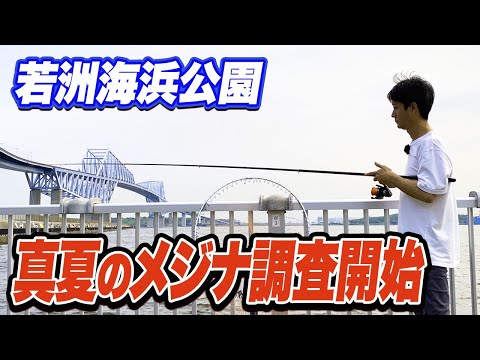 【若洲海浜公園】メジナやコショウダイは釣れる？ガラガラの若洲を調査