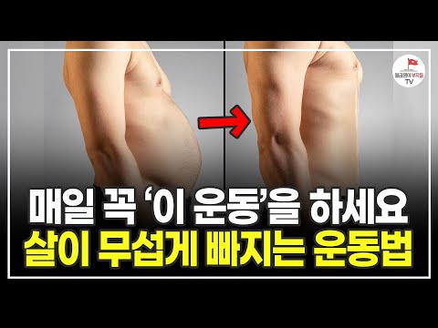 걷기 대신 '이 운동'을 매일 하세요 가득 쌓인 지방 싹 빠집니다 (강남허준)