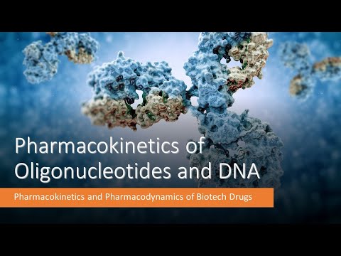 Pharmacokinetics of Oligonucleotides and DNA