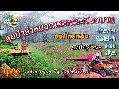 อช.ไทรทอง Ep86 #จุดชมวิวเขาสวย #ผาหำหด #ทุ่งดอกกระเจียว #ทะเลหมอก #CampCar #จังหวัดชัยภูมิ