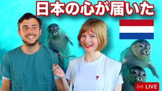 Behind the scenes of seal nursery in the Netherlands + staff interview