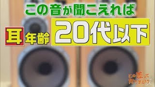 【耳年齢チェック】この音が聞こえれば20代以下『この差って何ですか?』【TBS】