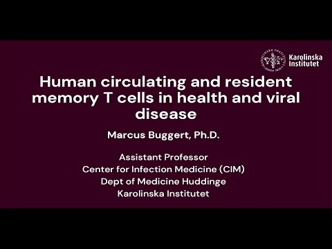 Human Circulating and Resident Memory T Cells in Health and Viral Disease with Marcus Buggert, Ph.D.