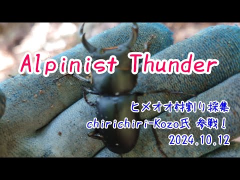 【昆虫採集】Alpinist Thunder  ヒメオオ 材割り採集 2024.10.12［ヒメオオ、アカアシ、クワガタ、クワガタ採集］