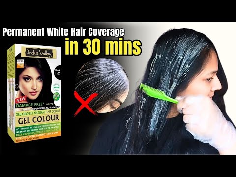 Chemical Free Hair Colour in 30 min✅Organic Hair Color | Indus Valley Damage Free Gel Hair Color