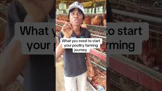 This is What You Need to Get Start Your Poultry Farm #poultrylife #poultry #poultaryfarm #farming