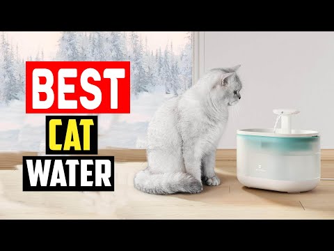 ✅Top 5 Best Cat Water Fountains of 2024