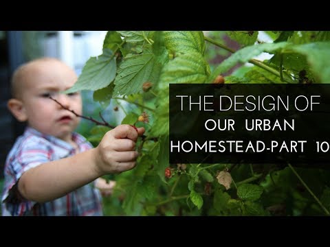 Building Commumity on Our Urban Homestead, Part 10