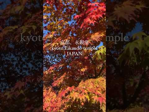 京都紅葉情報2023！只今見頃です！京都に行こう！！　2023年11月22日　京都・永観堂より