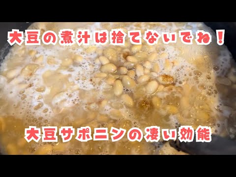 大豆の煮汁は捨てないでね！大豆サポニンの凄い効能！