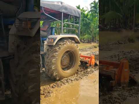 Swaraj 963 fe CRDI puddling #tractorvideo #swaraj #agriculture #tractor