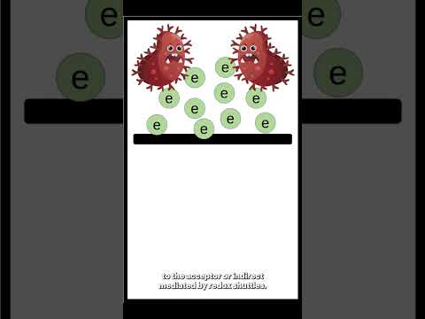 Our DREAM - Measuring bacterial electron transfer