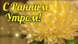 Доброе Утро! Красивое пожелание!