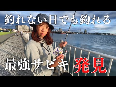 最強サビキでアジが簡単に釣れる！内房でサビキ釣り！　#木更津　#内港公園　#駐車場　#千葉釣り　＃南房総　#豆鯵捌き方