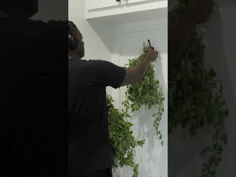 DRY YOUR HERBS #shorts #herbgarden #video #gardeningvideos