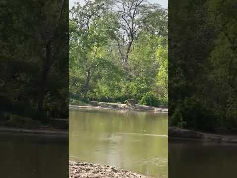 Jim Corbett National Park Uttarakhand Ramnagar india