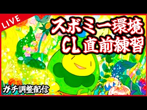 【ガチ調整配信】CL直前練習回　スボミー環境のいろんなデッキで遊ぶぞ！！！【ポケカ】