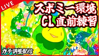 【ガチ調整配信】CL直前練習回　スボミー環境のいろんなデッキで遊ぶぞ！！！【ポケカ】