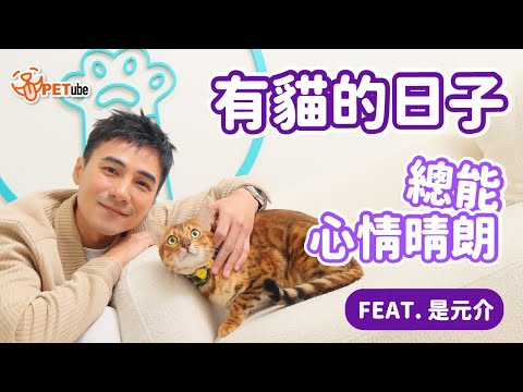 有貓的日子，總能心情晴朗！Feat.是元介【封面故事】｜#哈寵PETube 第248集